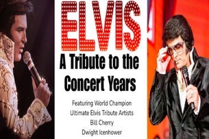 Elvis: A Tribute To The Concert Years