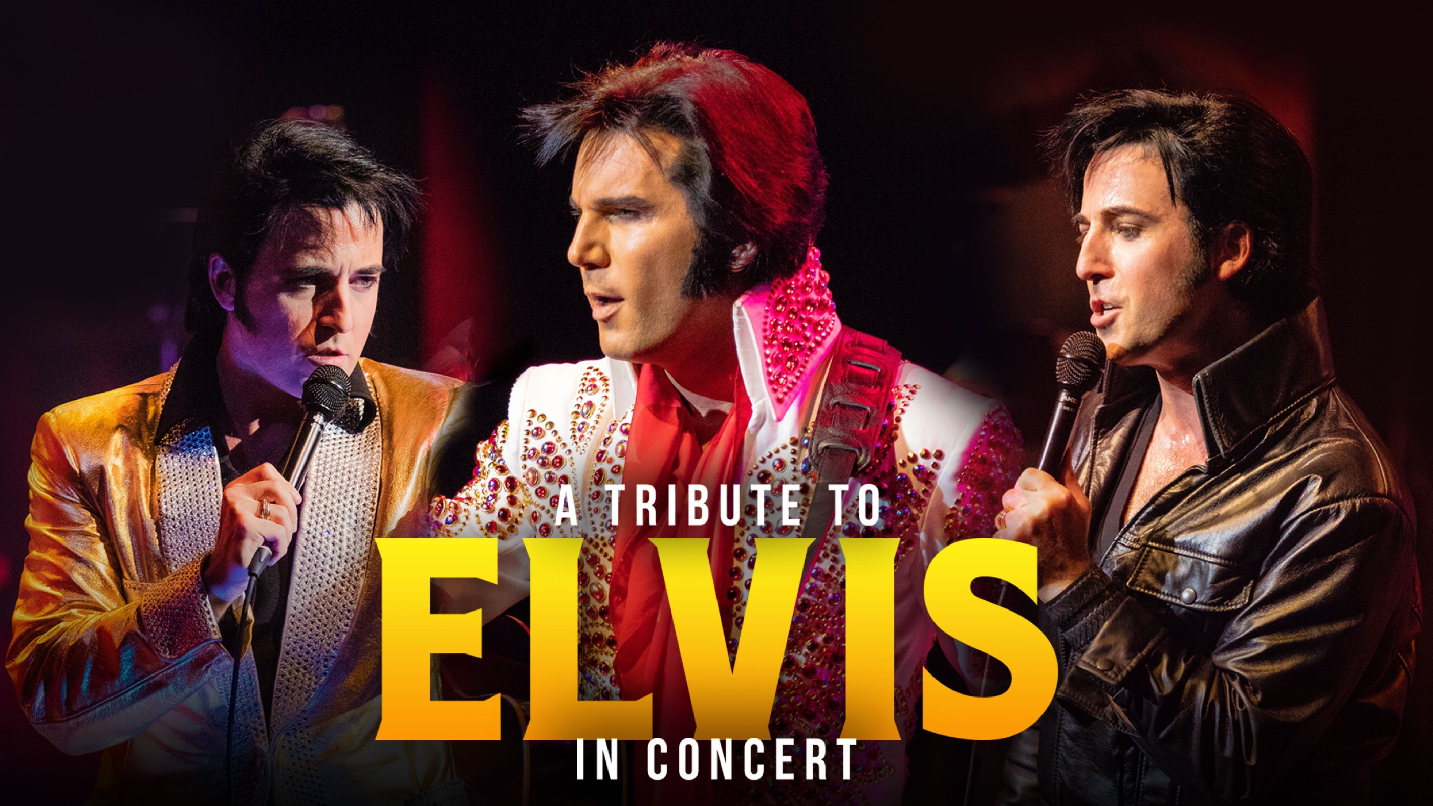 A Tribute to Elvis In Concert