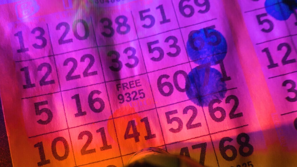 Photo of Bingo Unleashed