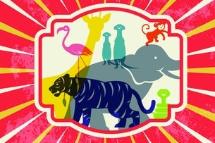 North Carolina Symphony - Carnival Of The Animals