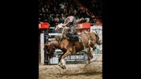 Moncton KIOTI Stampede — Avenir Centre