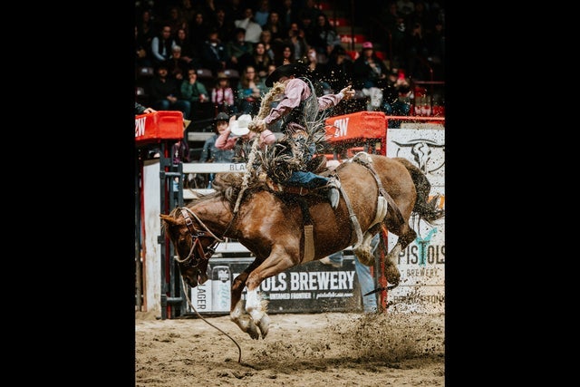 Presales to moncton kioti stampede: members use these when buying pre-sale tickets