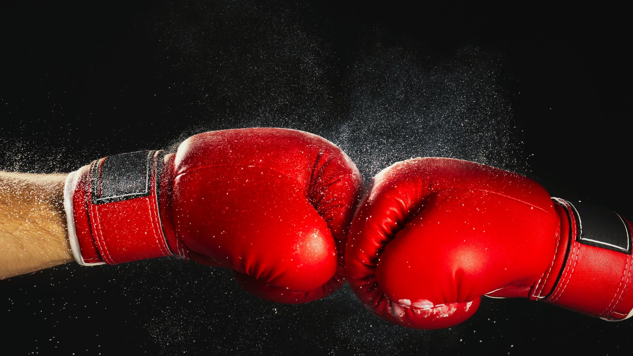 NIght of Champions 13