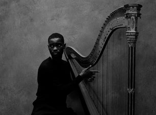 DAVE - The Boy Who Played the Harp Tour