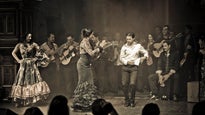 Yagori - Gypsy Music Festival (Saturday)