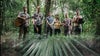 Fete du Cajun Psychedelia ft. Lost Bayou Ramblers