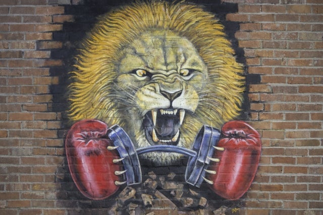 Presales to pro boxing: members use these when buying pre-sale tickets