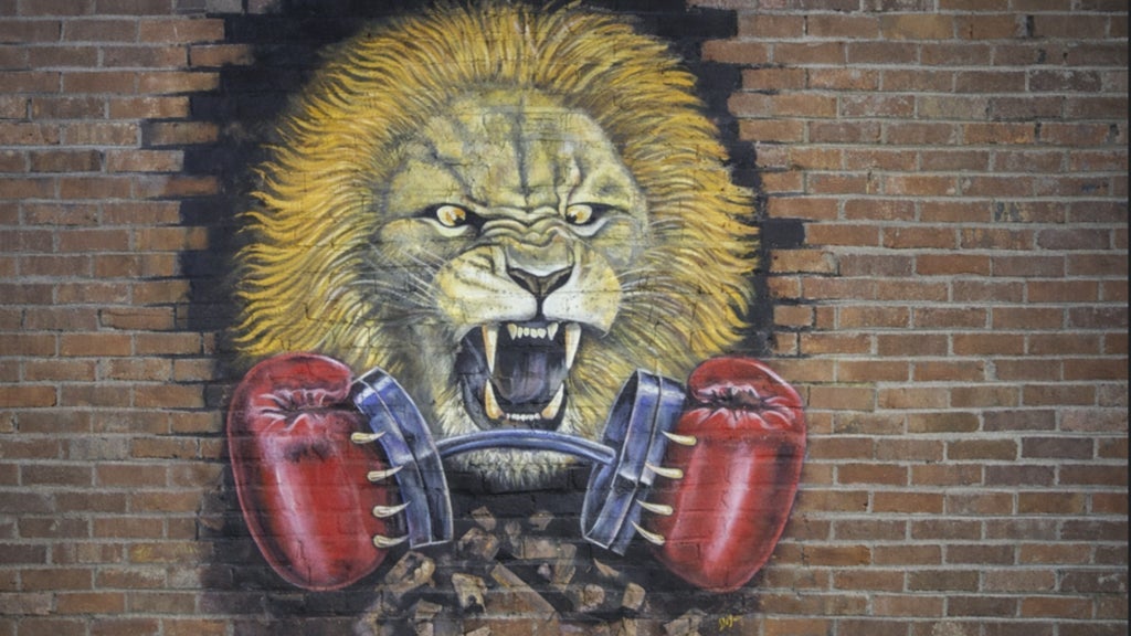 Photo of Boxing Extravaganza In The Roc