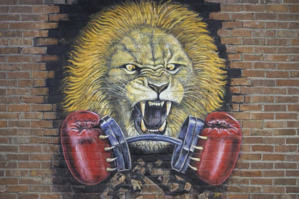 Boxing Extravaganza In The Roc