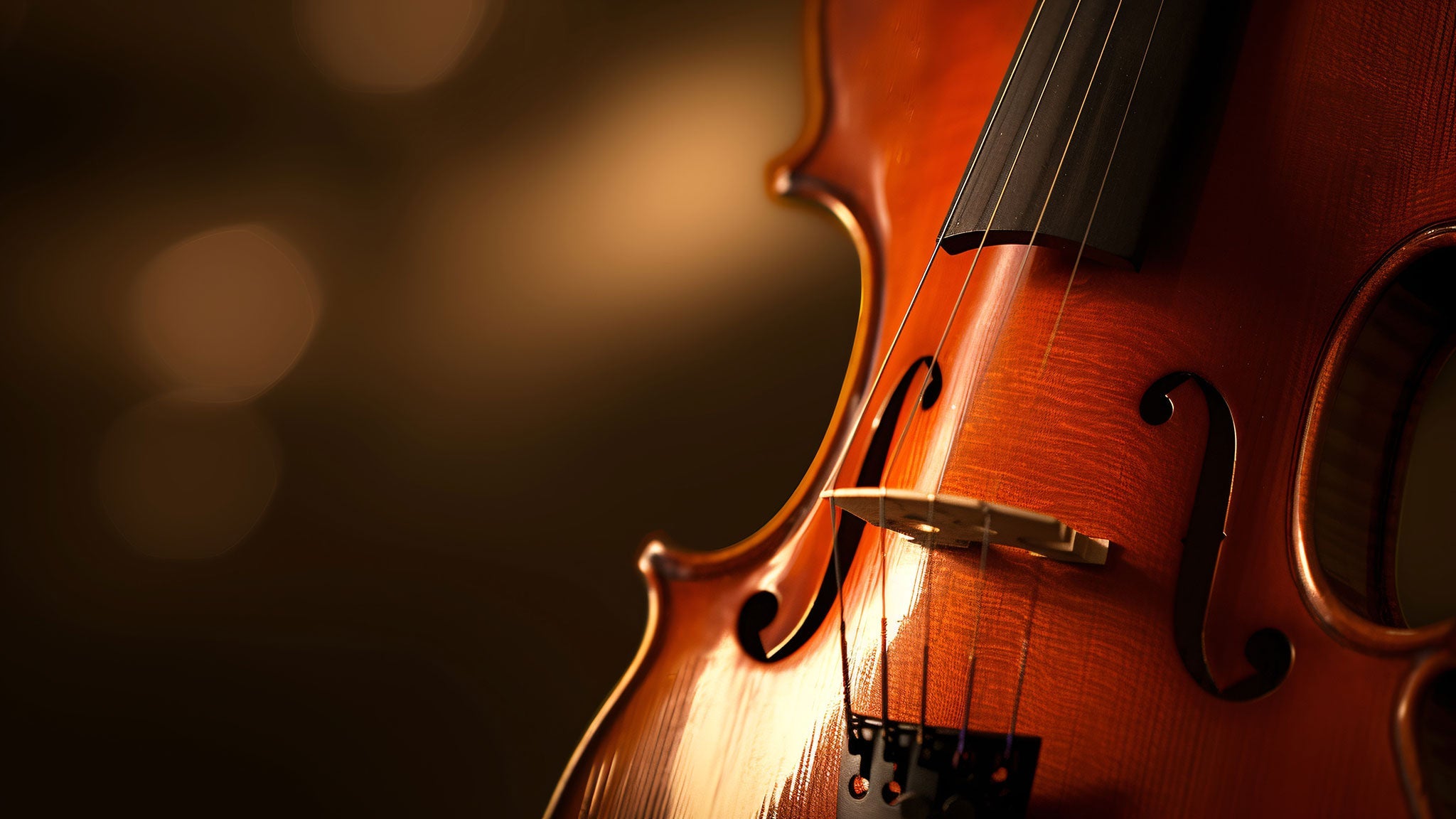 Rutenberg Chamber Music Series: The Einstein String Quartet