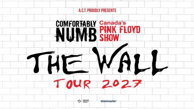 Comfortably Numb - Canada's Pink Floyd Show