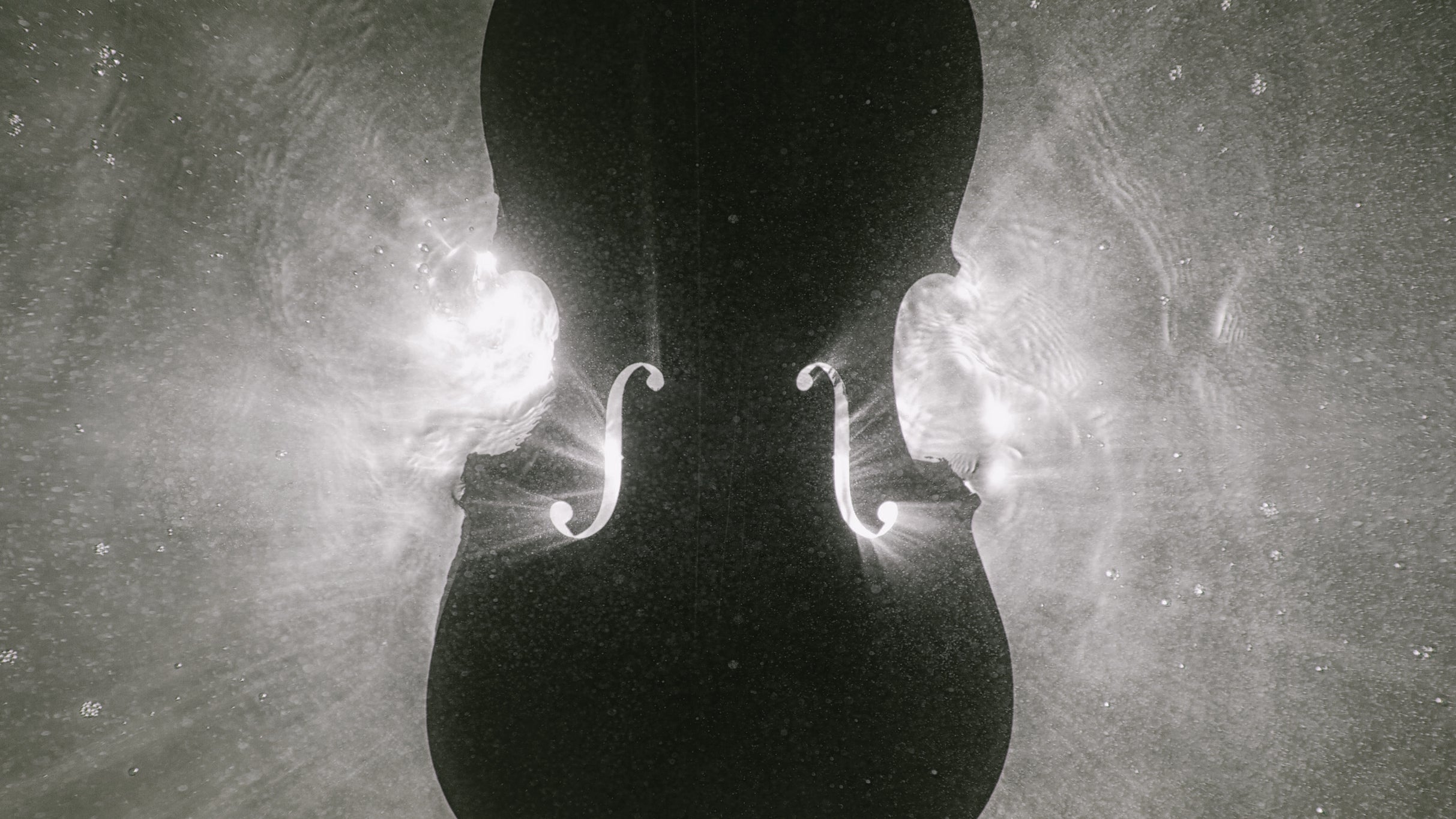 Auckland Philharmonia: Mendelssohn's Violin