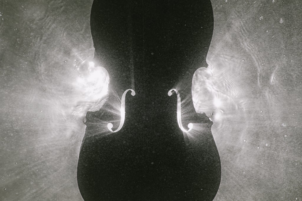 Auckland Philharmonia: Mendelssohn's Violin