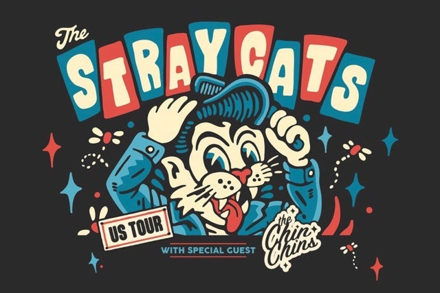 THE STRAY CATS
