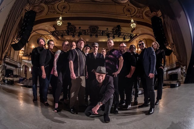 Steely Dane concert image