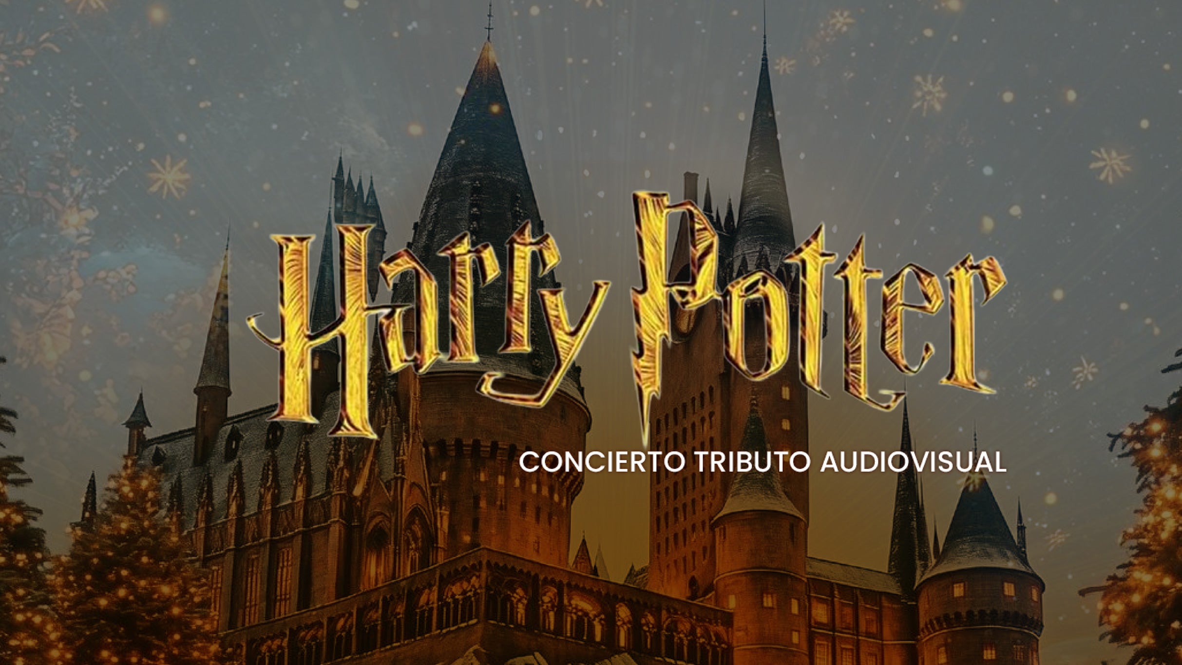 Harry Potter Concierto Tributo Audiovisual 