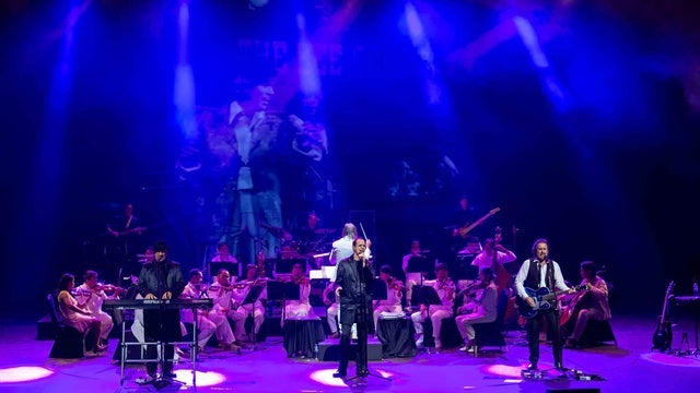 Best of the Bee Gees Saturday Night Fever