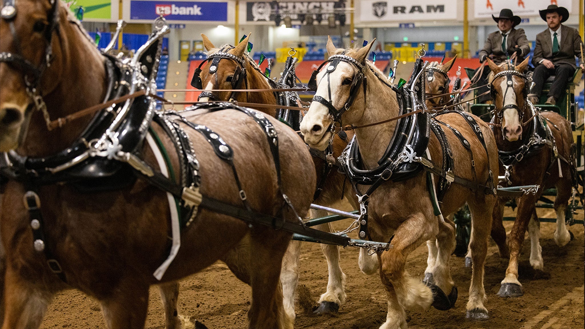 Draft Horse Show - Sun. Jan. 24 1pm