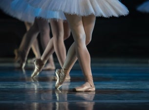 One Night of Ballet