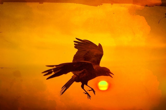 Official presale code Melissa Etheridge