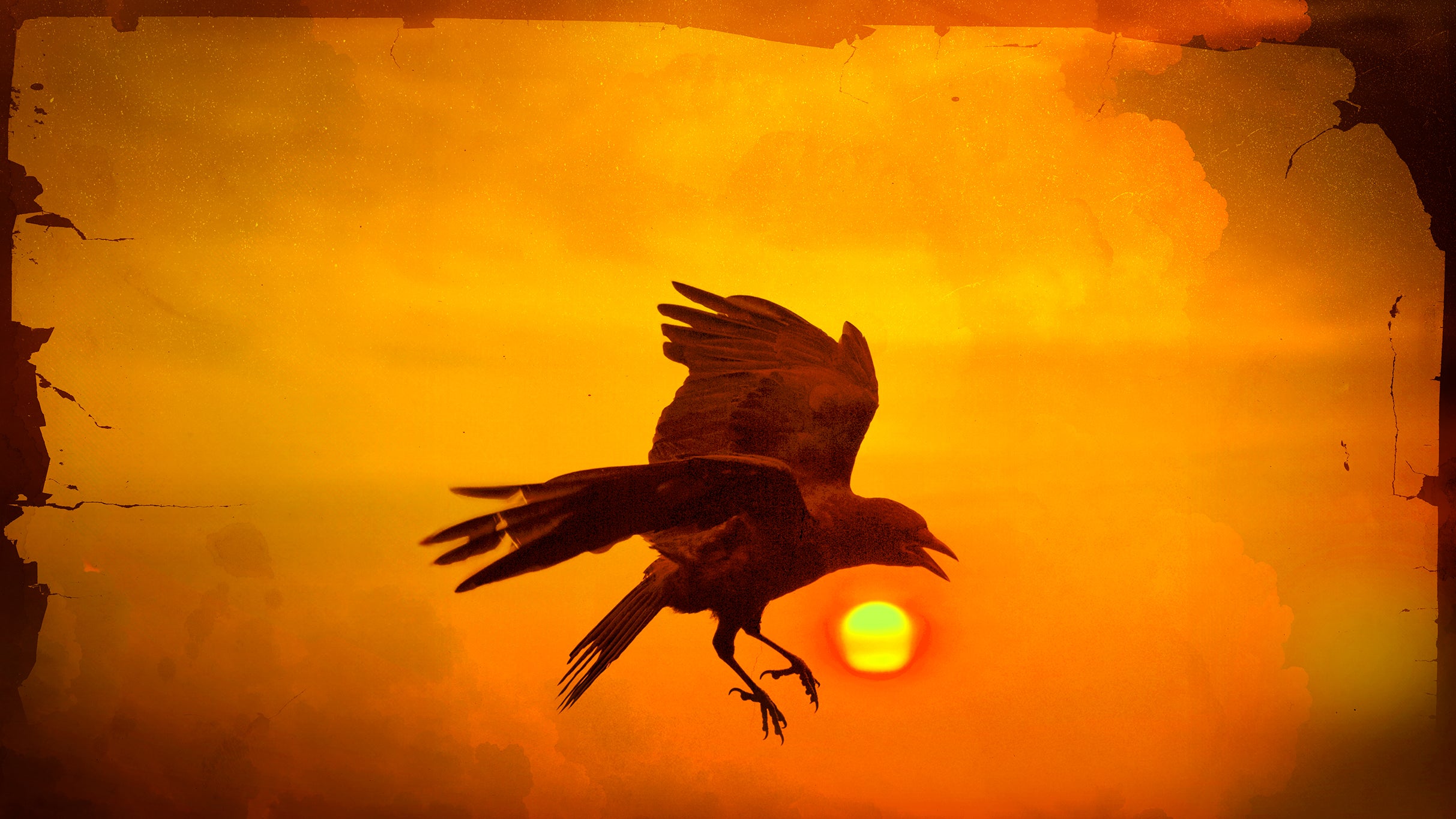 Melissa Etheridge: RISE