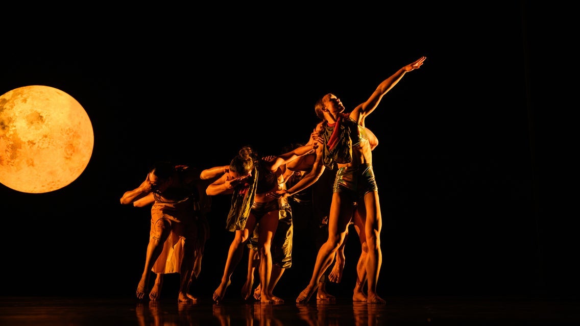 Black Grace event image