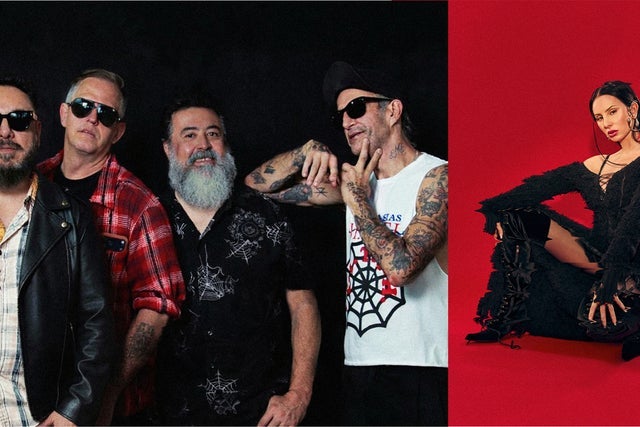 Presales to molotov: members use these when buying pre-sale tickets