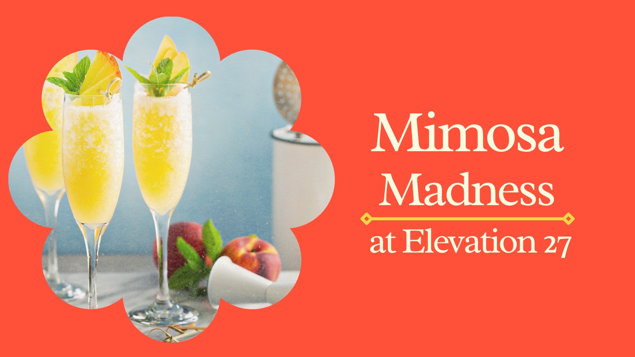 Mimosa Madness A Mimosa Festival at Elevation 27 Tickets Virginia