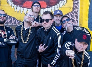 My Posse In Effect concert
