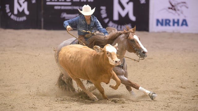 The Run for a Million Cow Horse Challenge