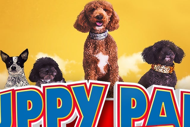 Puppy Pals Live presales in Spartanburg