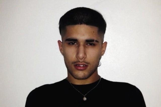 Presales to fakemink: a terrible beauty . the tour: members use these when buying pre-sale tickets