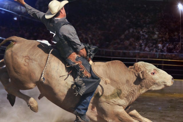 Portland Bulls n' Broncos presales in Portland