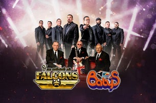 Los Babys y Los Falcons