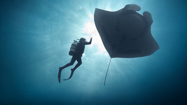 The Last Dive: San Diego Premiere