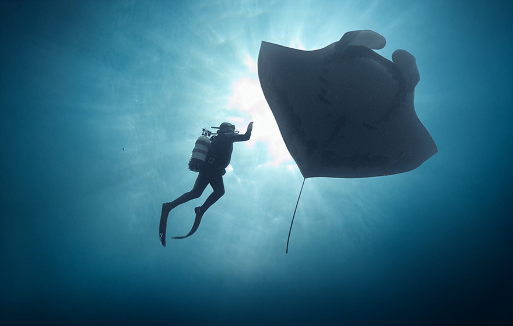 The Last Dive: San Diego Premiere at Balboa Theatre