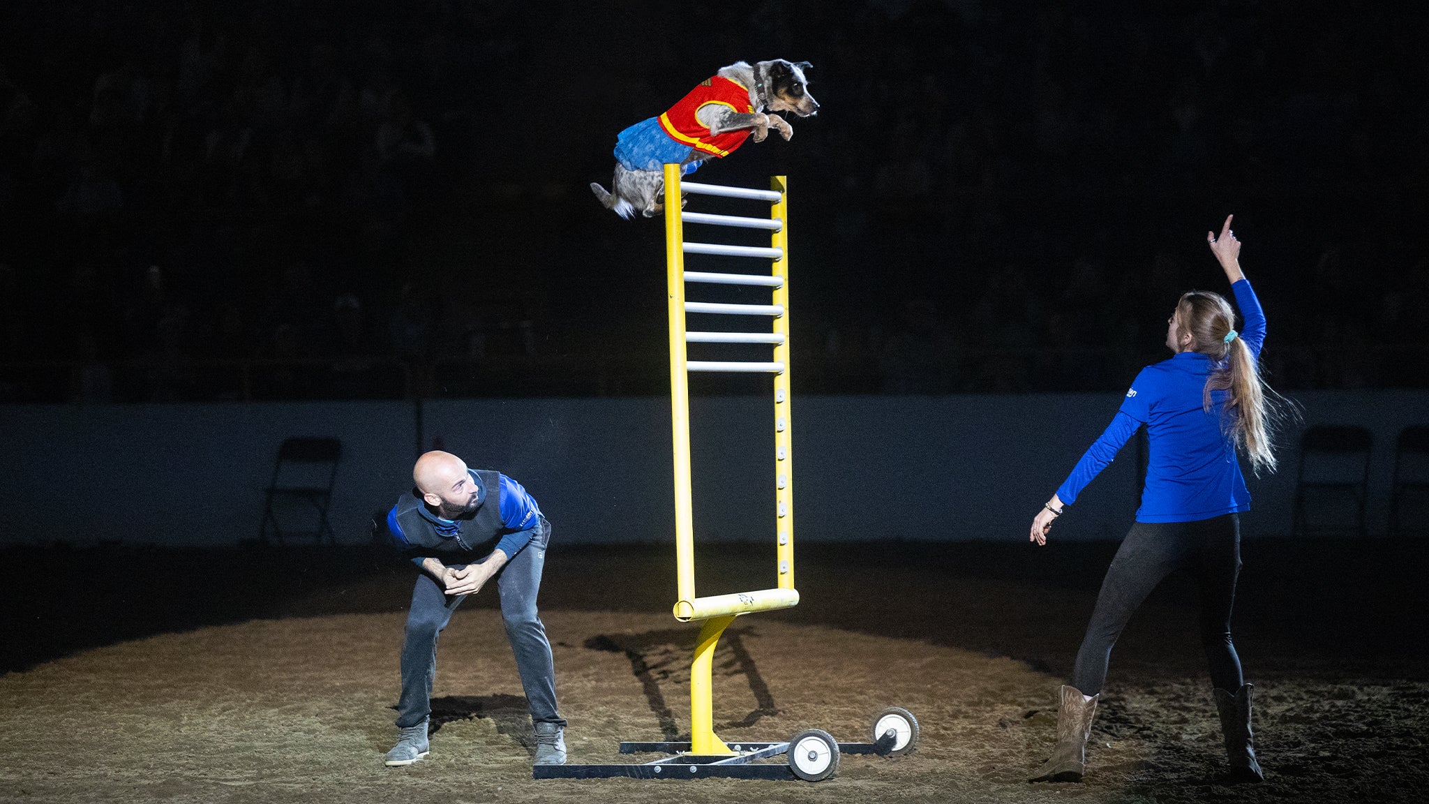 Xtreme Dogs - Sun. Jan. 17 1pm