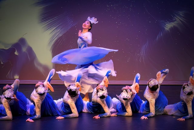 Presale codes for cafa chinese new year gala: music, dance &amp; tradition: members use these when buying pre-sale tickets