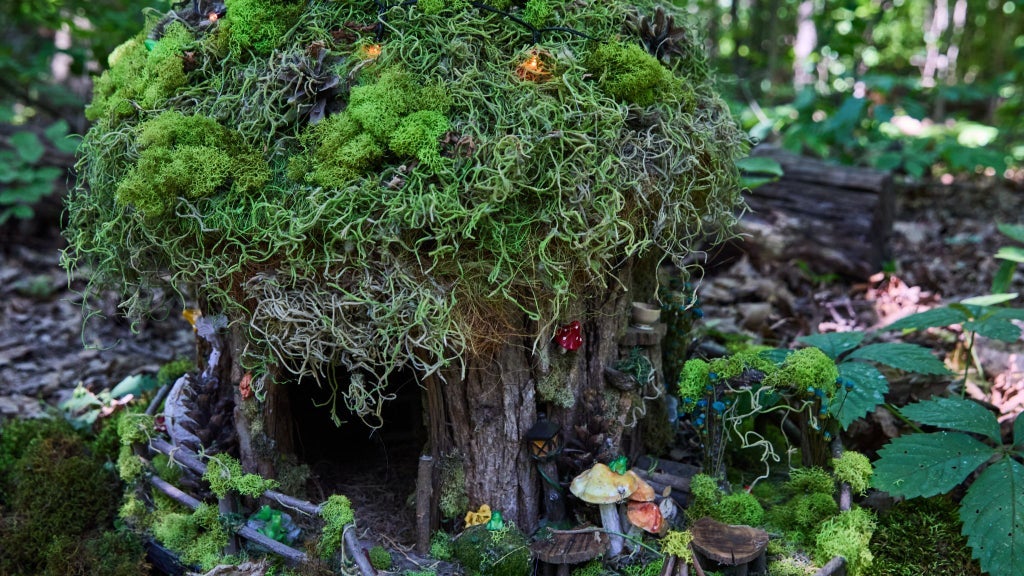 Artpark's Fairy House Festival
