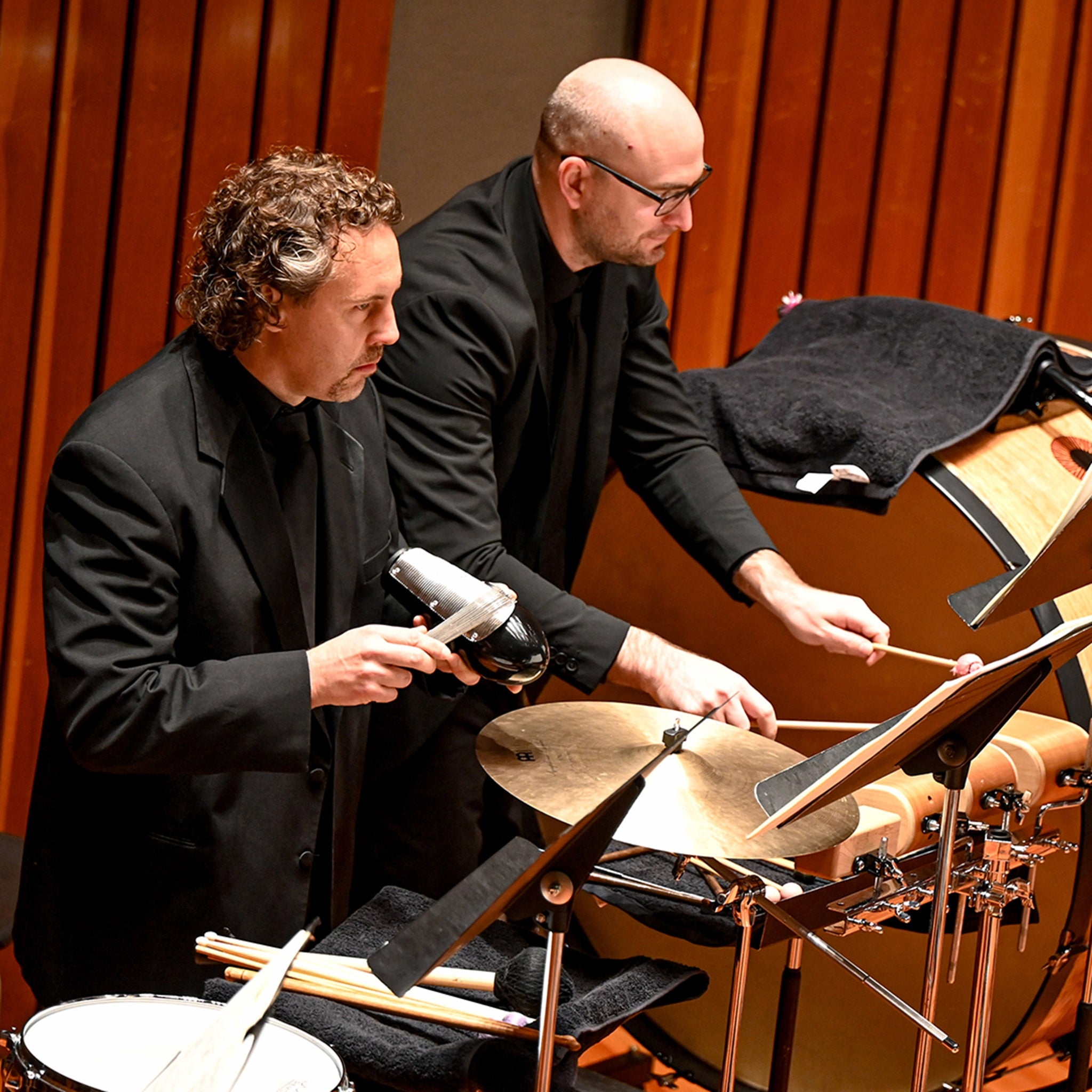 Harp and Percussion : Tucson Symphony Orchestra