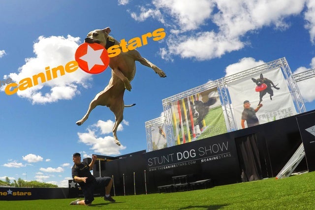 The Canine Stars Stunt Dog Show in Cerritos: pre-sale passwords The Canine Stars Stunt Dog Show in Cerritos promotional photo for ME+3 presale tickets offer