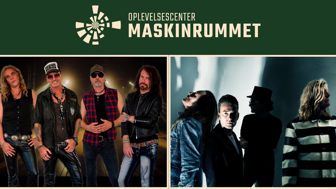 Koncerter med Noe/Jørgensen, King of Rock, D-A-D, m.m.