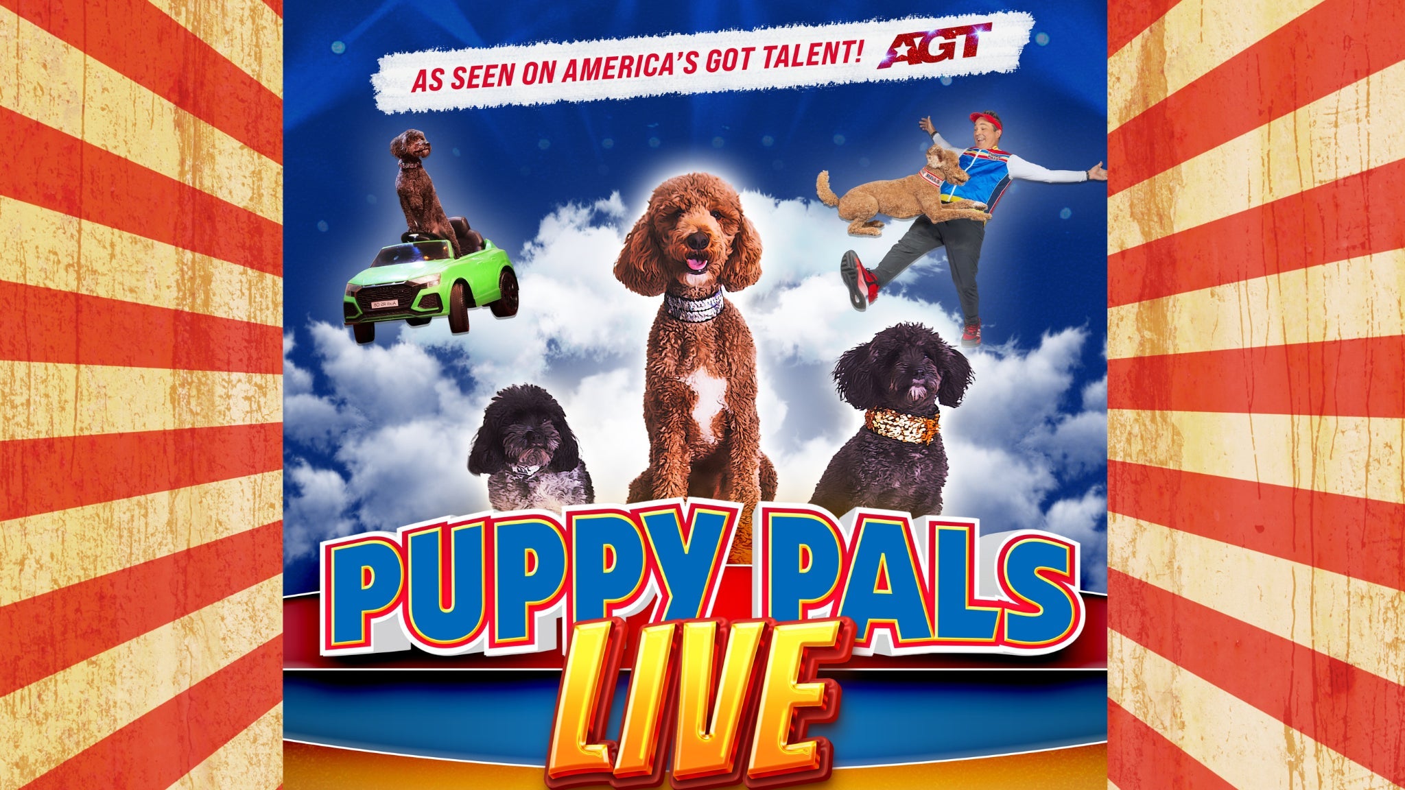Puppy Pals Live
