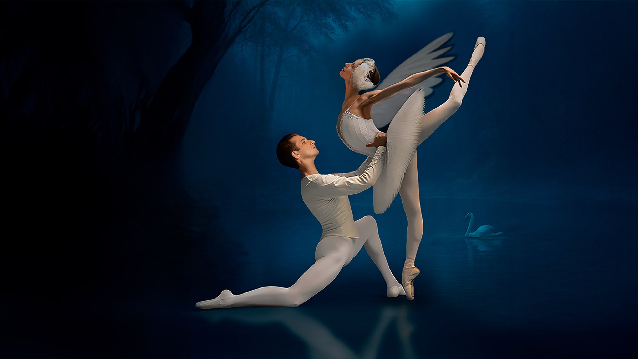 Svanesøen – 2026-02-04