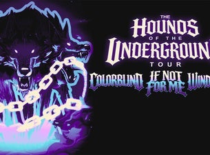 Colorblind + Windwaker + If Not For Me Image