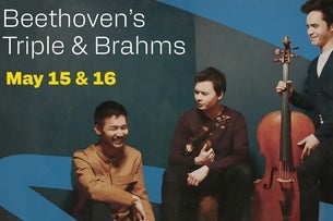 Jax Symphony: Beethoven's Triple & Brahms