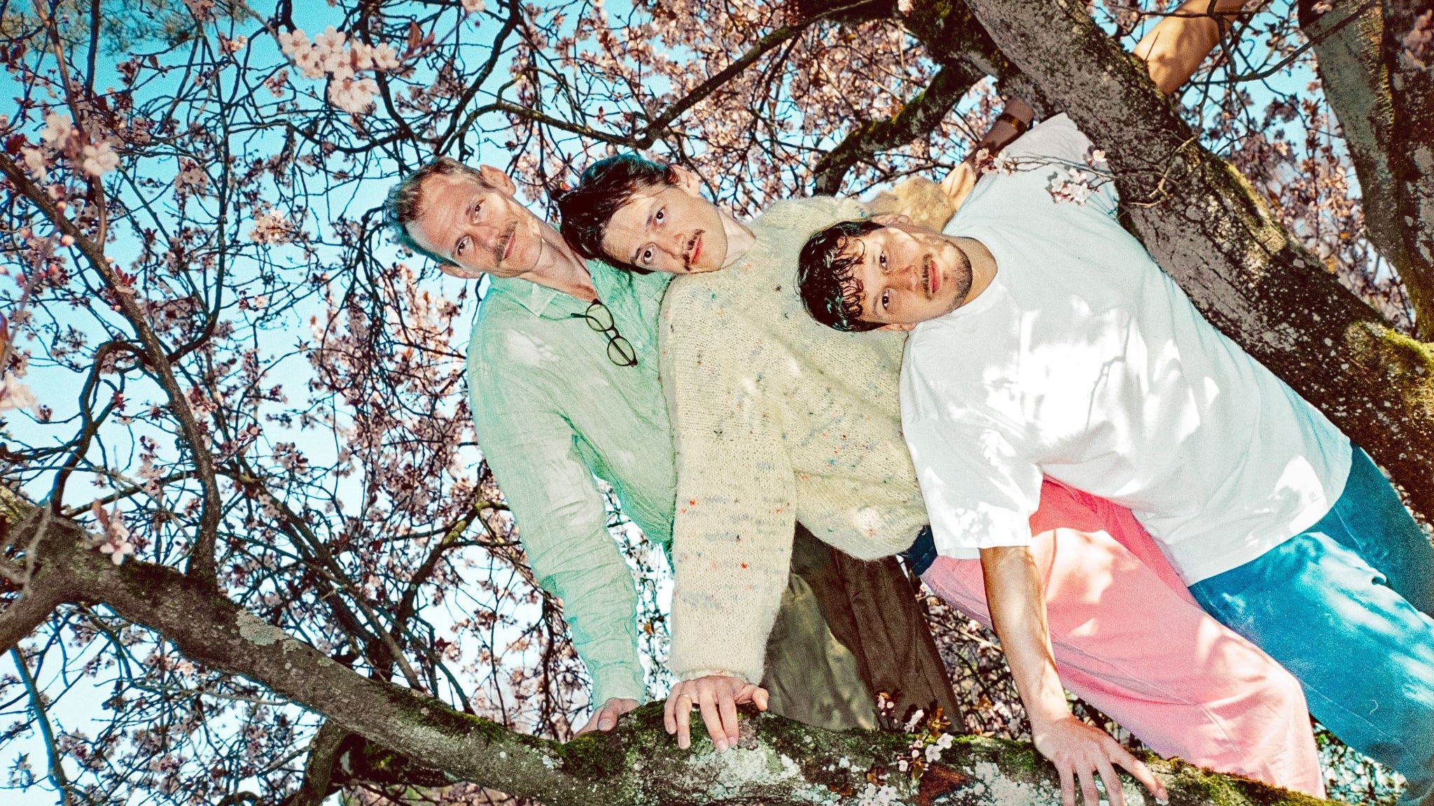 50 JAHRE KNUST: LÖWENZAHNHONIG