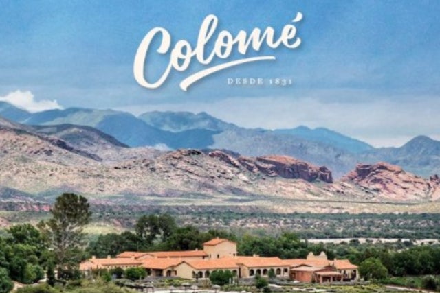 Eksklusiv vinkveld med Colomé: En reise til Argentinas vinmarker!