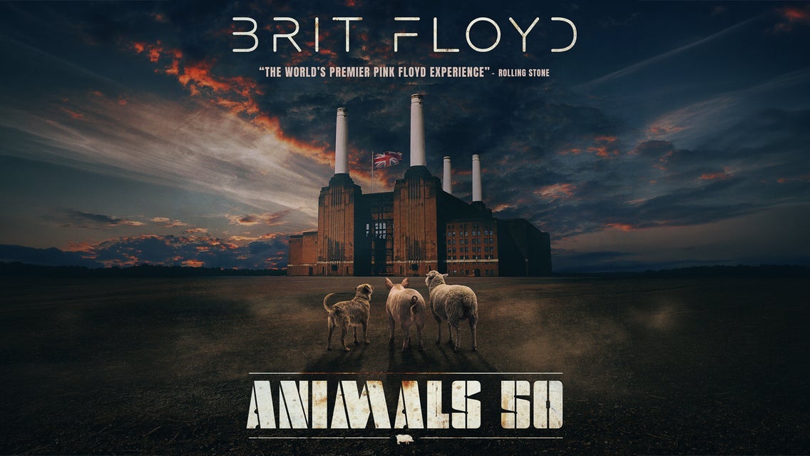 BRIT FLOYD – ANIMALS 50 - World Tour 2027