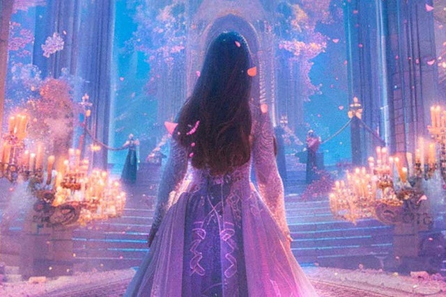 Presales to the princess concert: members use these when buying pre-sale tickets